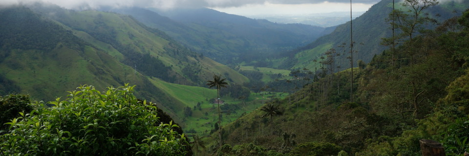 Hiking Valle Del Cocora